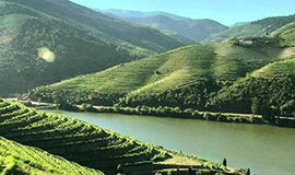 FD Douro Valley with Jeep Tour and Wine Tasting