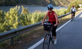 HD Mountain Bike Tour in the Wine Landscape