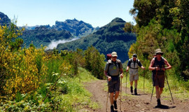 Trail Boca do Risco - Larano - Porto da Cruz