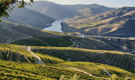 Pre & Pos Douro River programs