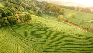 São Miguel - Explore The Magical Funas Valley