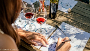 Wine & Heritage with a Winemaking Family