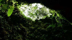 Azores Treasures - Terceira & São Miguel