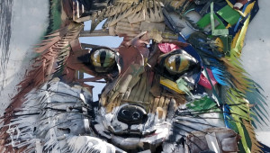 Explore the Art Scene of Lisbon