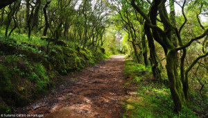 A Journey Through Heritage & Natural Beauty