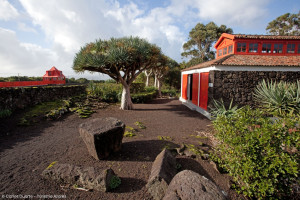 Azores Treasures - Terceira & São Miguel