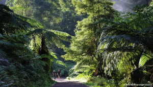 Azores Treasures - Terceira & São Miguel