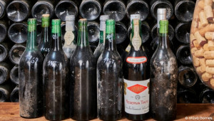 Portugal Agrotrips - Flavours of the Land