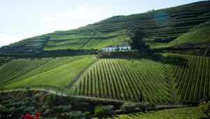 Authentic Portugal