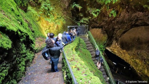 Azores - Agrotrips, Pure Earth, True Essence