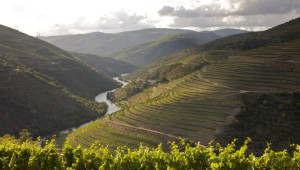 Portugal’s Charm In Every Stop