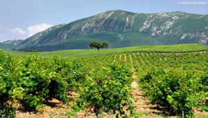 Alentejo Cultural Experience