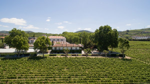 Authentic Portugal