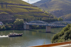Discover Porto & Enchantig Douro