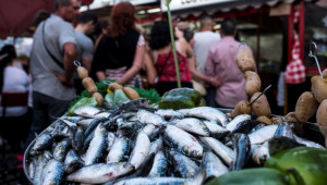 Enjoy the Portuguese Festive Spirit