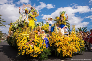Madeira: Flower Festival