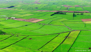 Terceira - Serra do Cume, Biscoitos & Angra