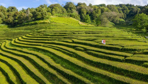 Azores & Madeira – The Best of the Atlantic